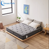 الرغوة Encasemen Pocket Coil Coil Maym Memory Memory Memory Memory في صندوق